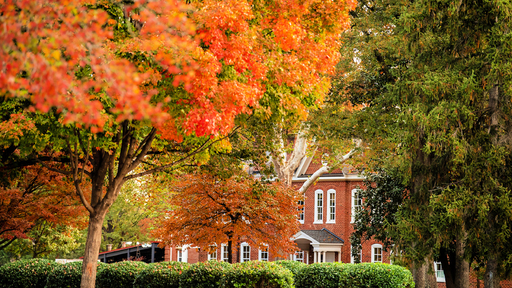 Archdale Hall, flanked by trees filled with fall-colored leaves.