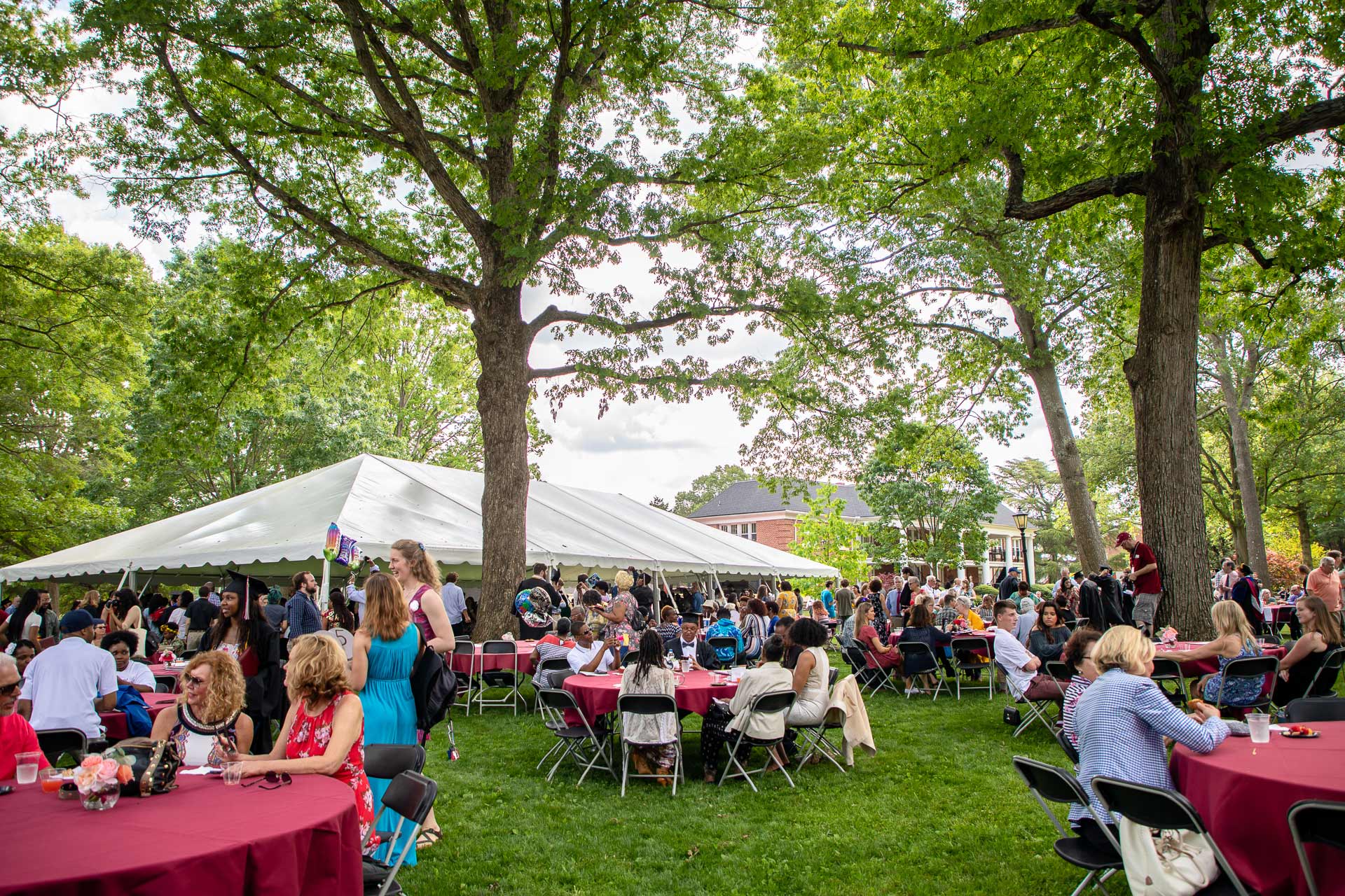 Attendees of Commencement celebrate at a picnic on the Quad after the ceremony.
