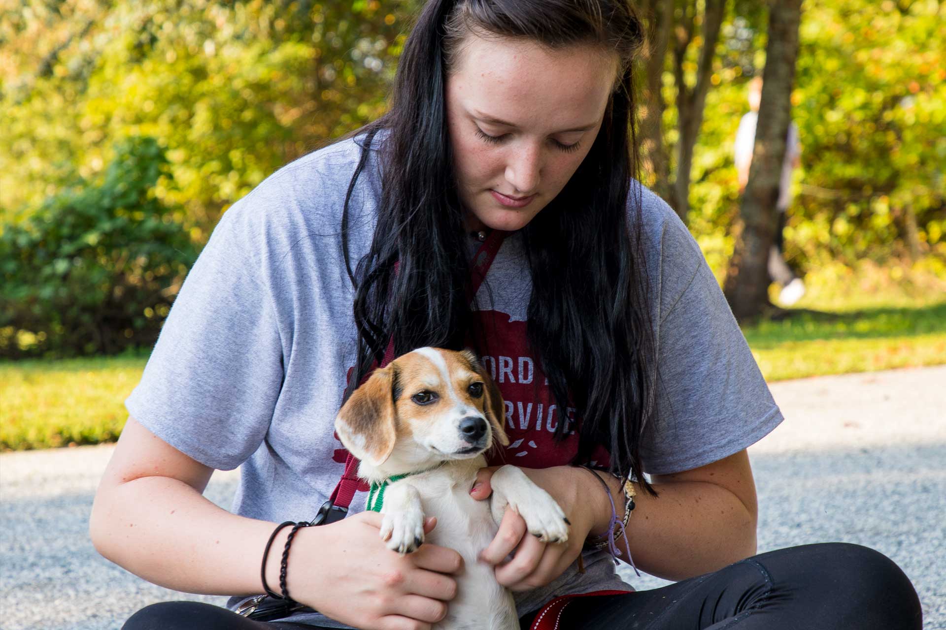 Students help care for rescue dogs on Day of Service.