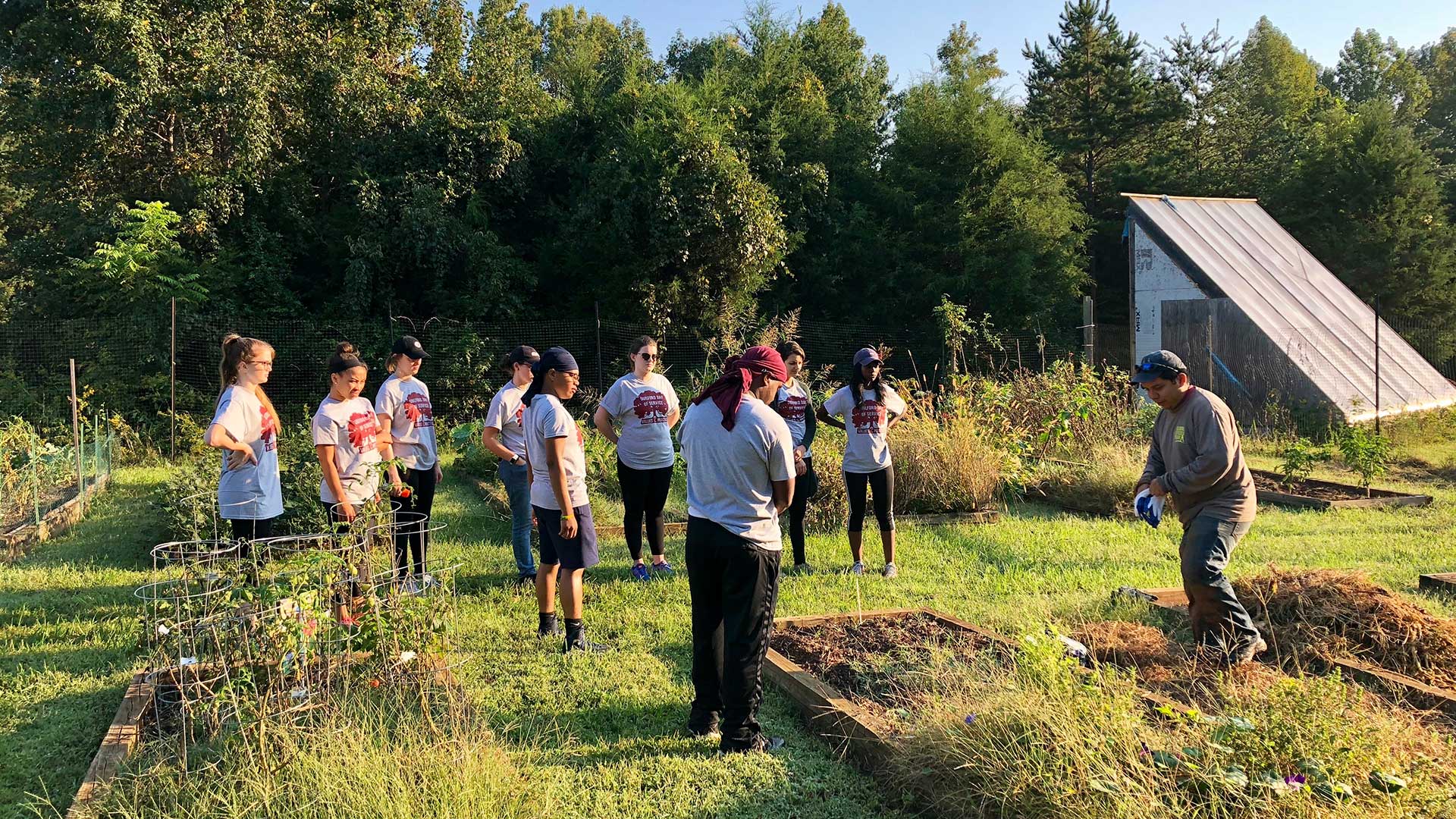 Student volunteers on the Guilford College Farm at Day of Service.