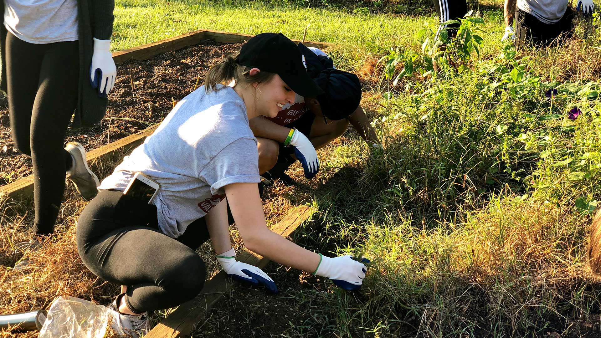 Students volunteer at the Guilford College Farm on Day of Service.