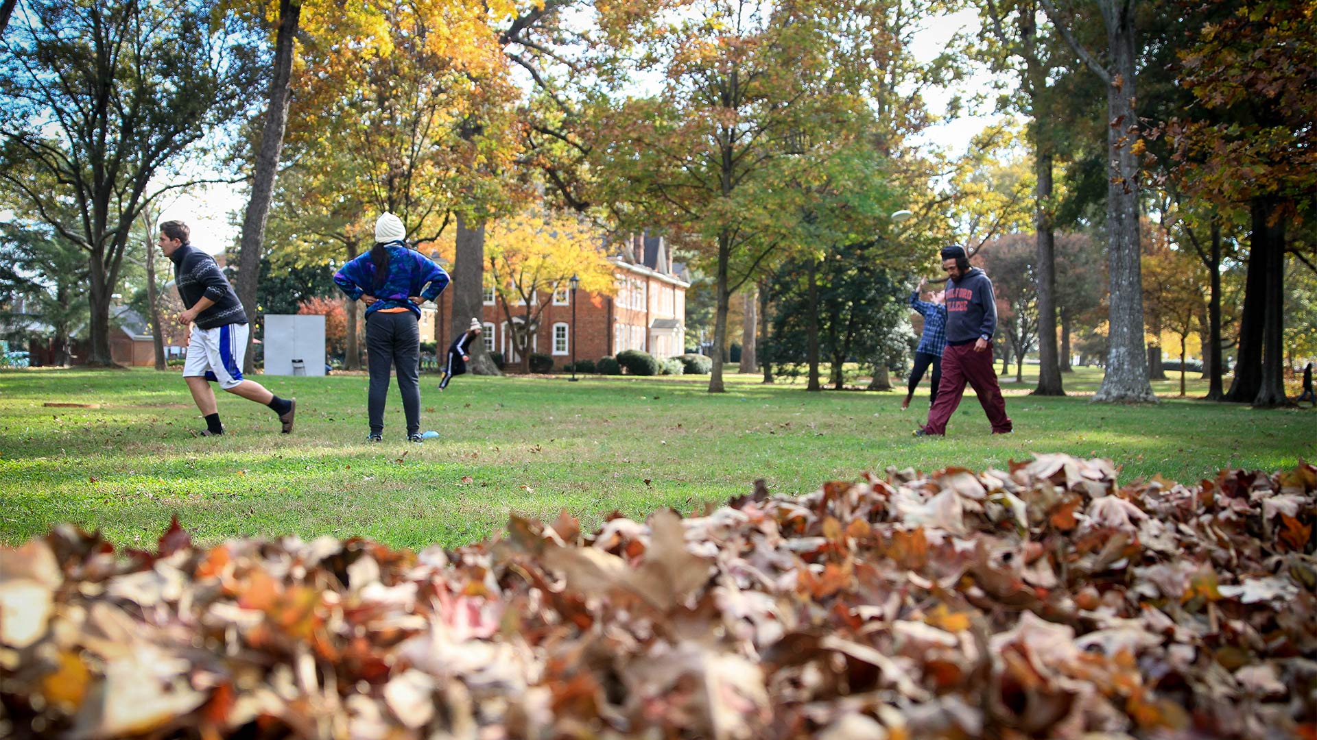 A leafy Quad was the perfect backdrop for all the Sports Spectacular fun.