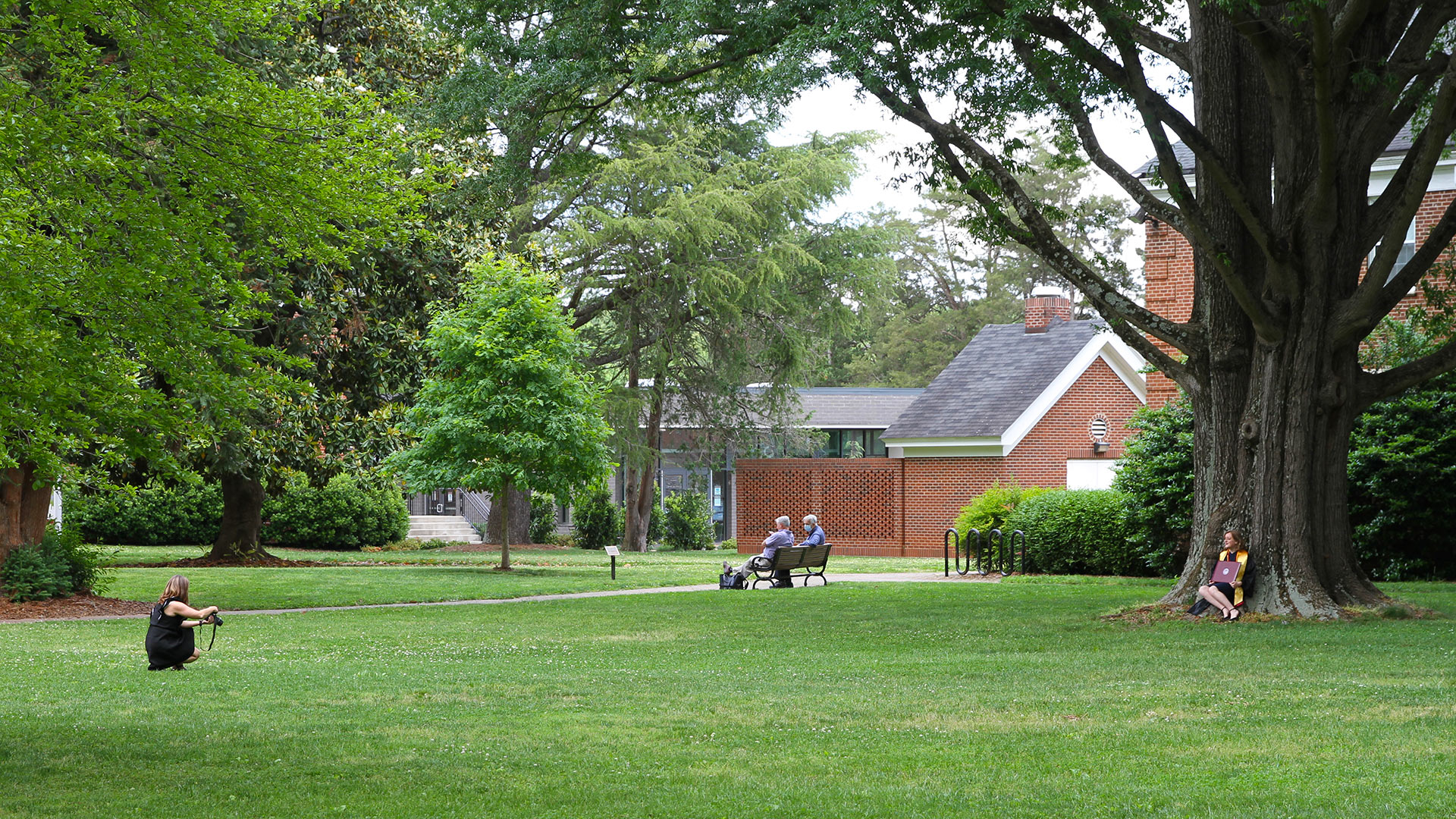 Graduates take photos in front of the large trees on campus after Commencement 2020.