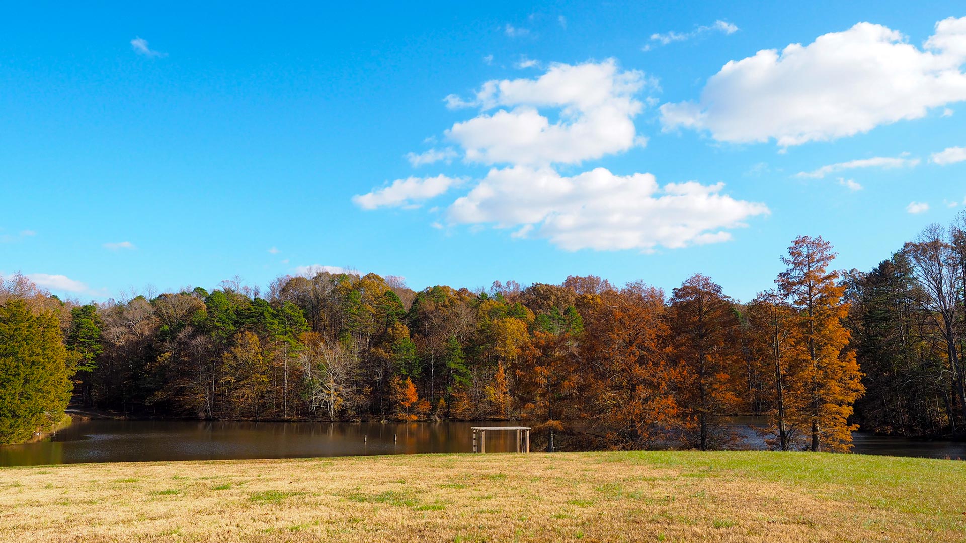 Trees with fall leaves line the banks of the College Lake, reflecting off its surface. (Mei Lander Photo)