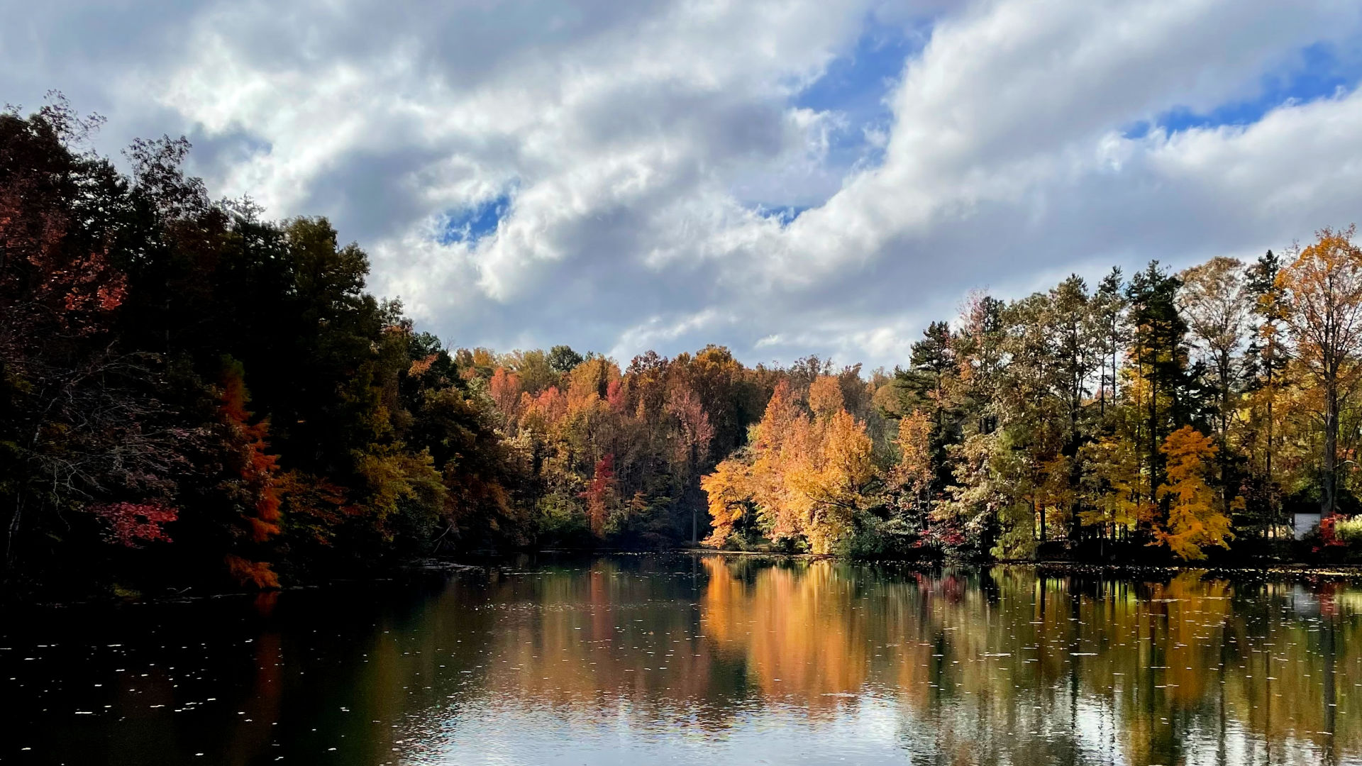 Trees and a blue sky reflect off the surface of the College Lake.