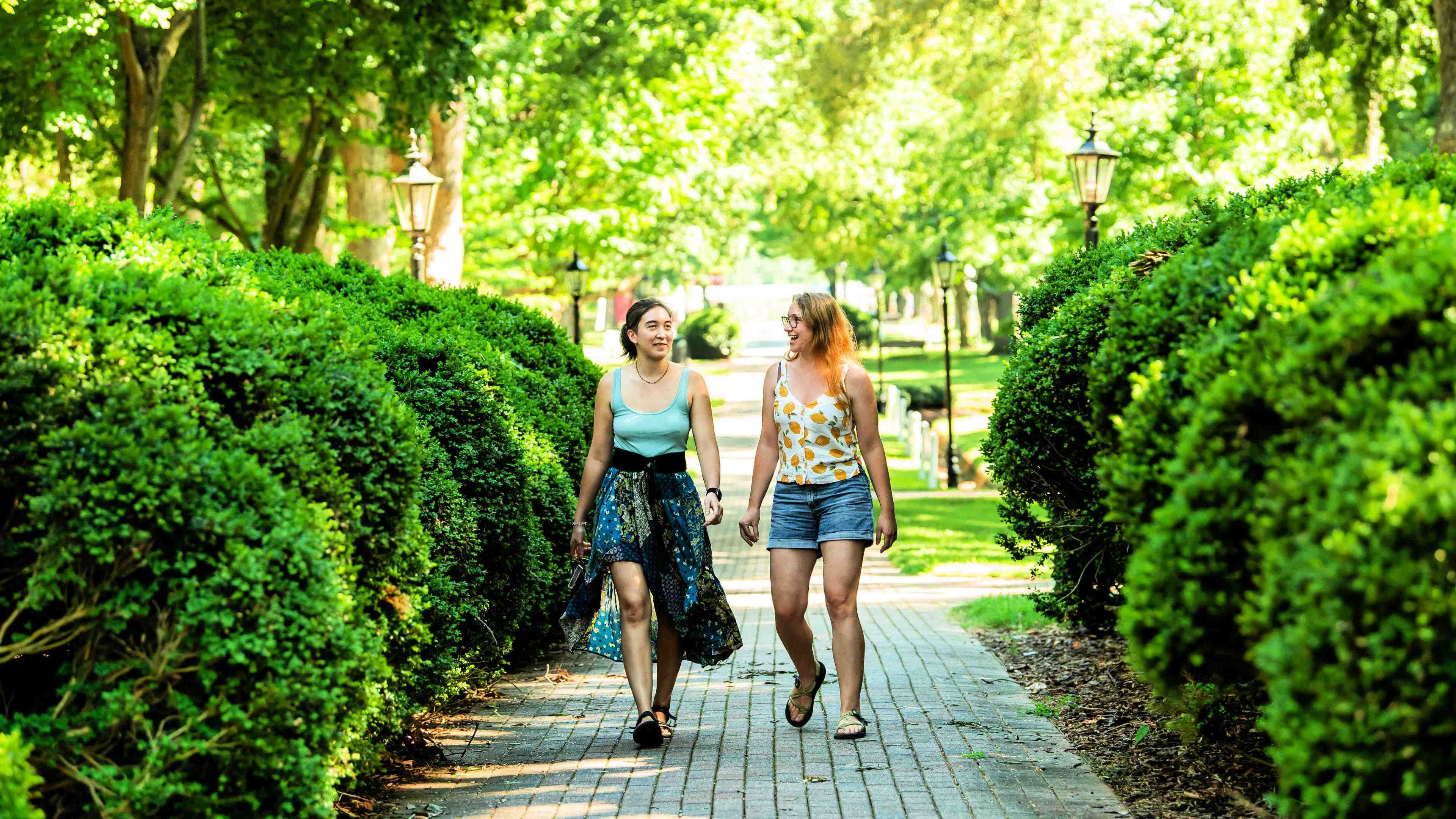 Two students walk between boxwood hedges toward Founders Hall.