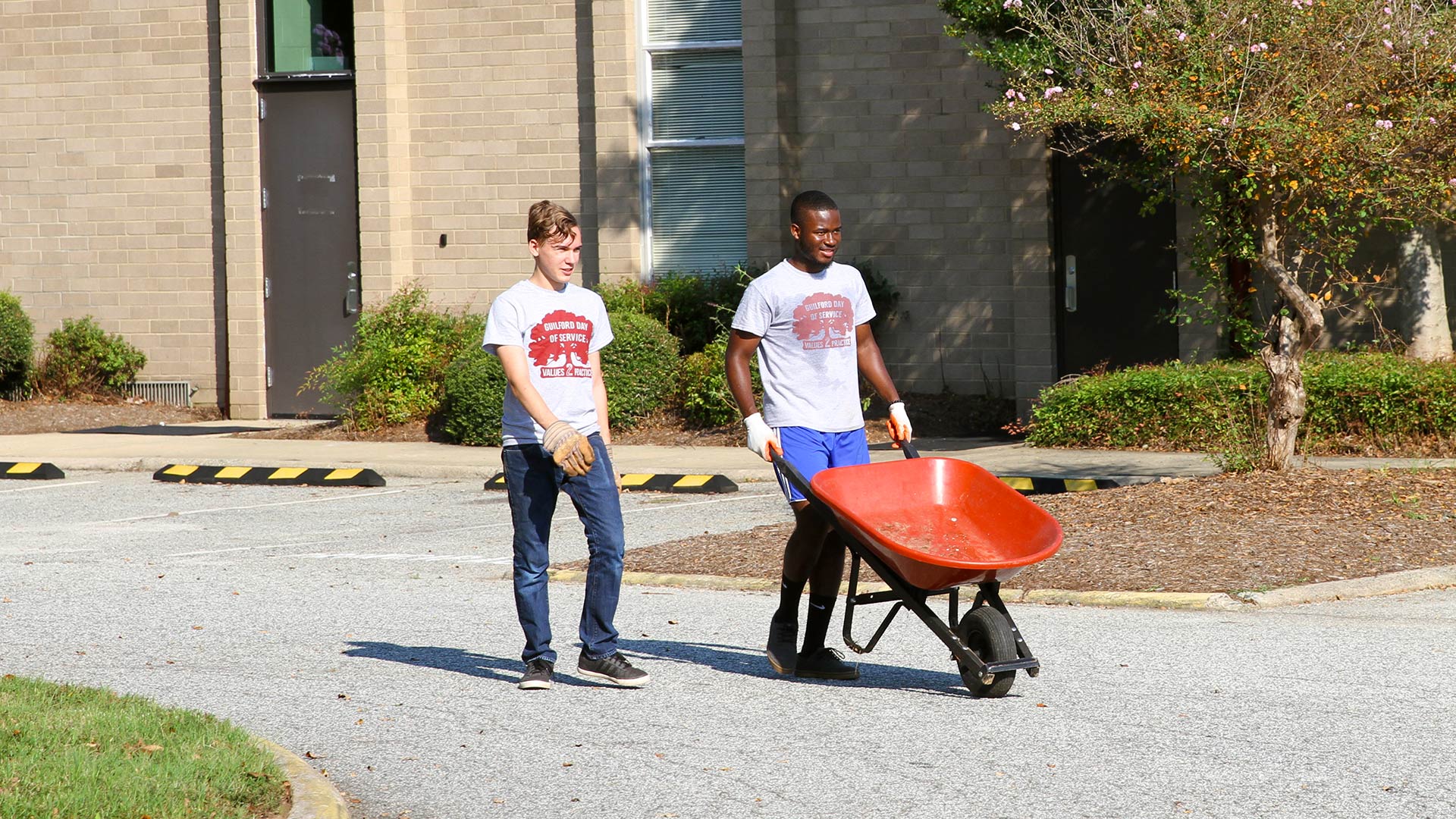 Students push a wheelbarrow at Newcomers School on Day of Service.