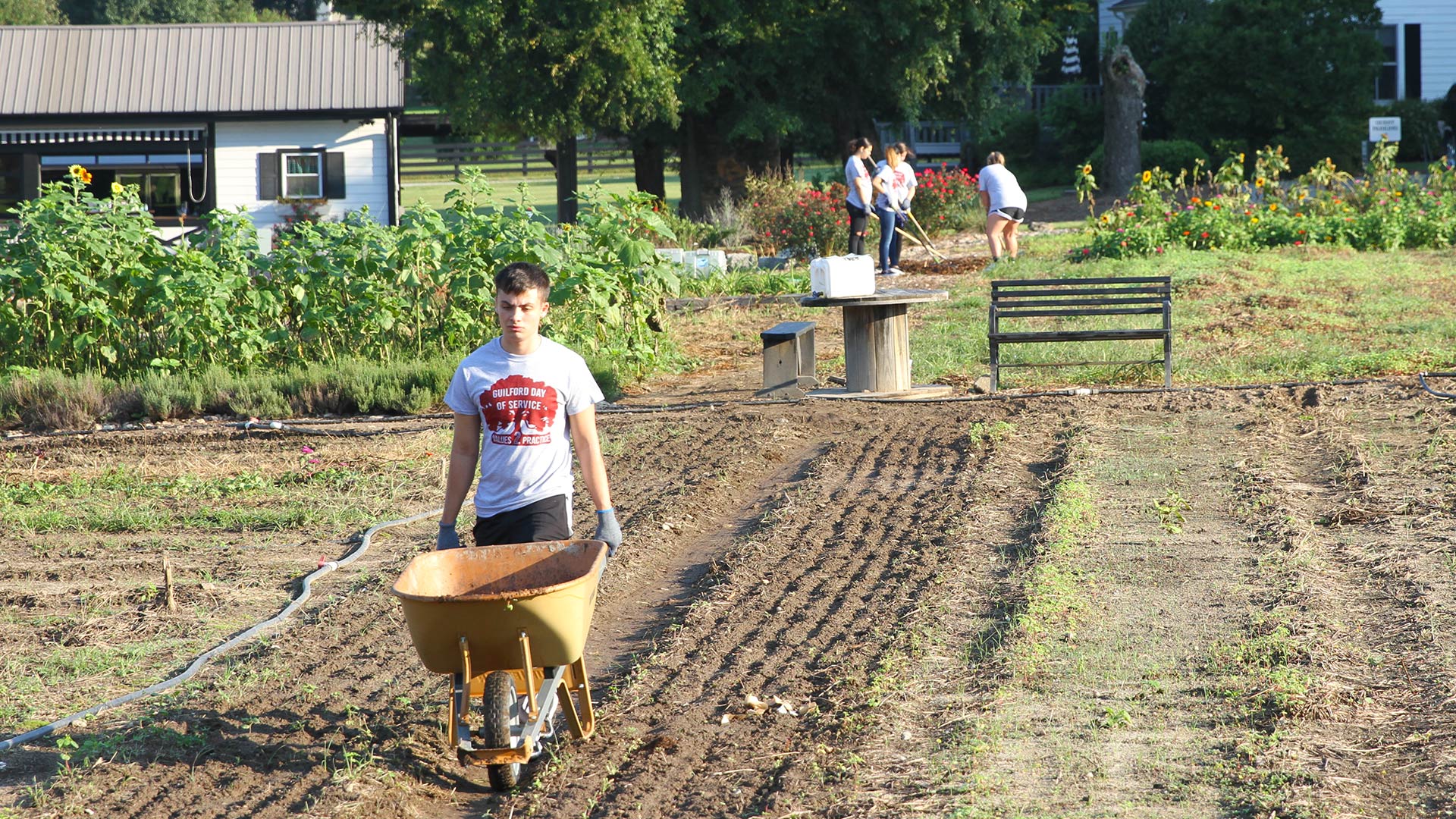 A student volunteers at Summerfield Farms on Day of Service.