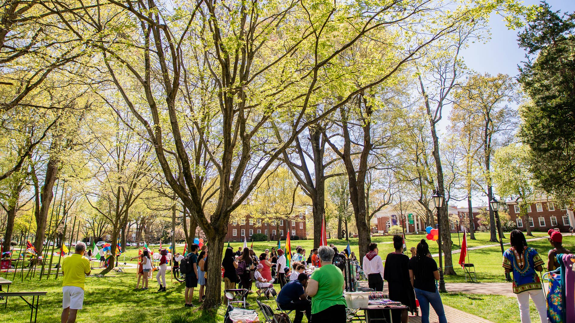 Trees just beginning to turn green give the crowd cover at the International Festival on the Quad.