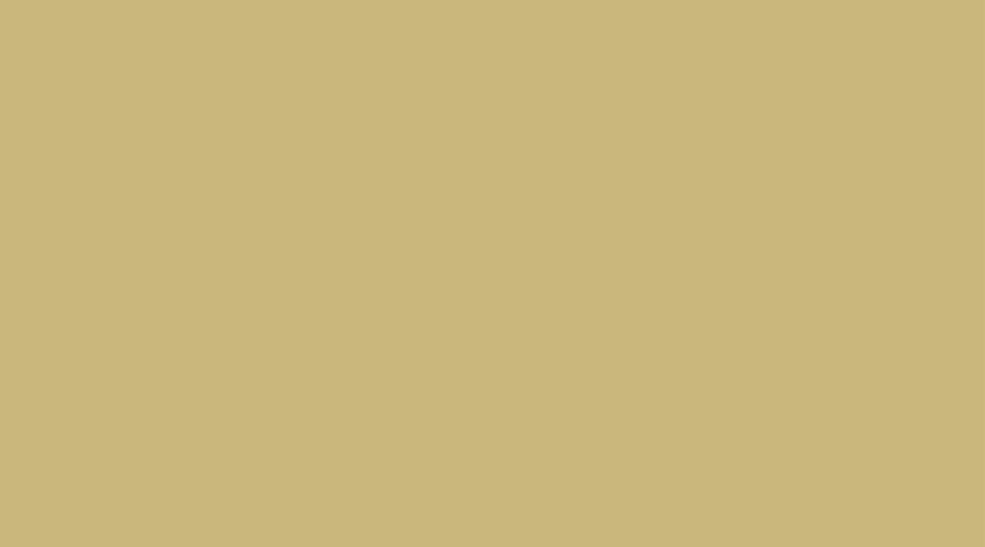 Guilford College Beige Billboard Header Guilford College Beige Billboard Header