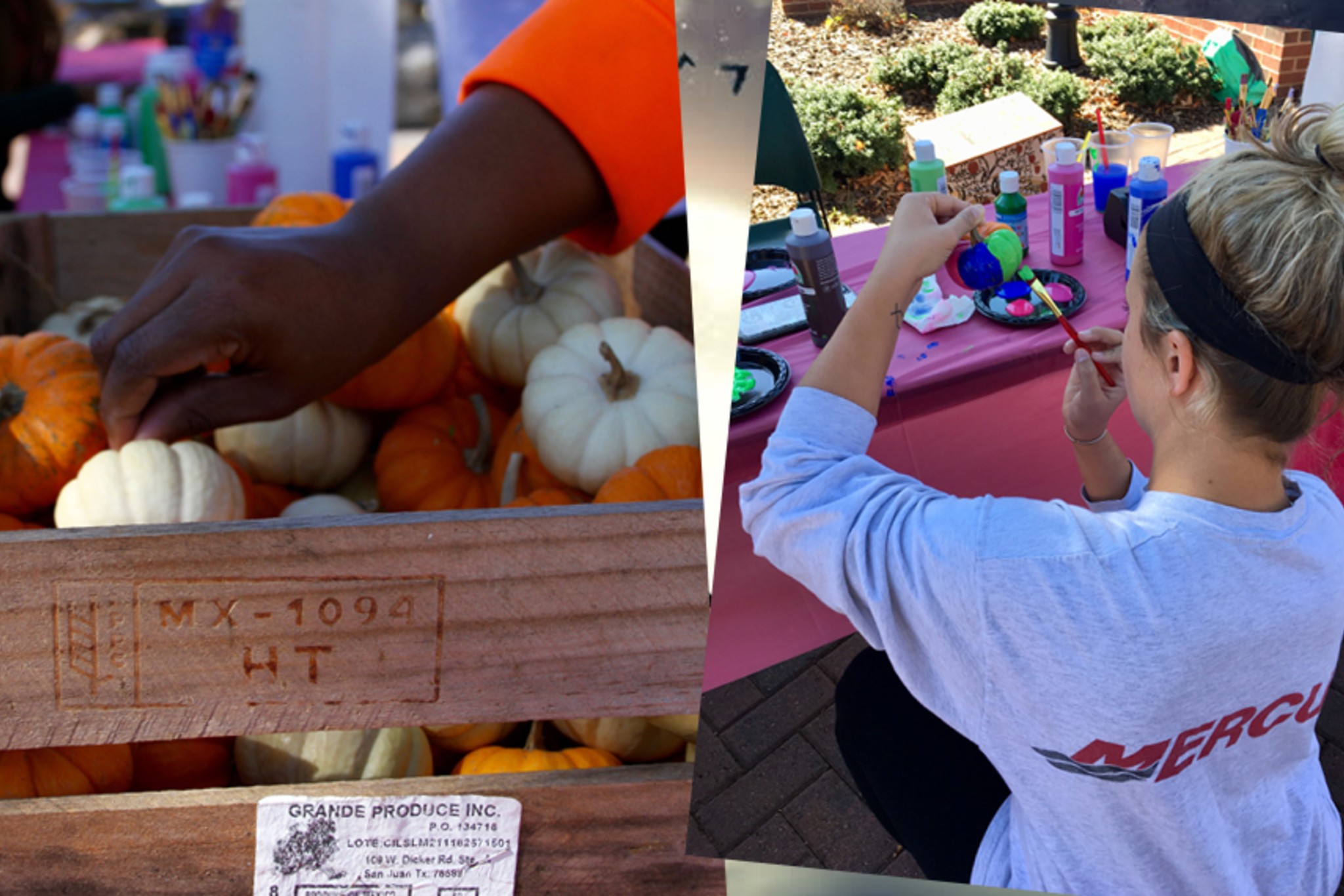 Halloween 2017 [GALLERY] Guilford College