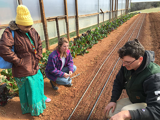 Farmer Nick Mangili explains winter planting at the Farm.