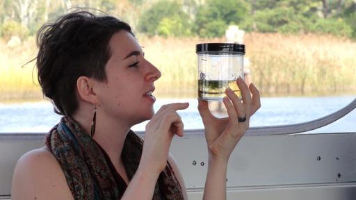 A student in the Cape Fear River Basin Studies Program studies a water sample on a day trip to Wilmington, N.C.