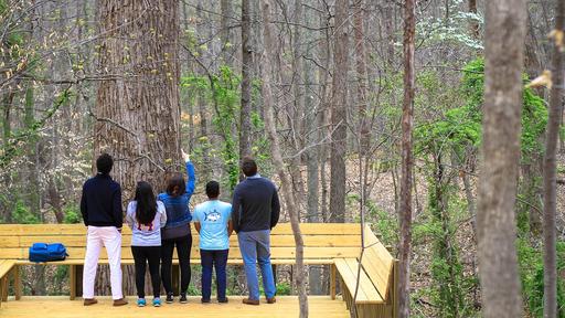 students on the viewing platform at the underground railroad tree