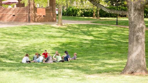 Students study on Guilford College Quad in Summer.