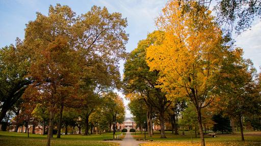 Photo of Guilford College campus in the fall.