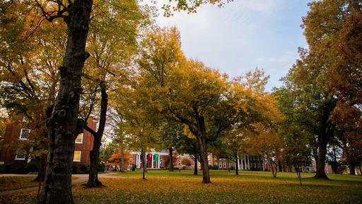 Guilford College Hege Library in the fall.