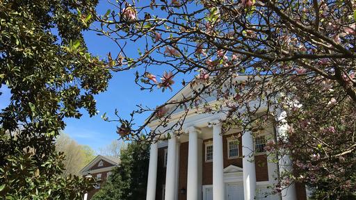 Pink blossoms in front of a blue sky outside of Dana Auditorium