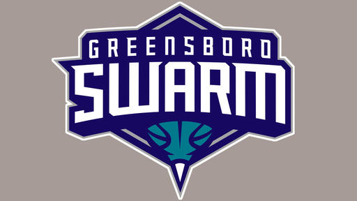 The Greensboro Swarm is Greensboro's own professional basketball team.