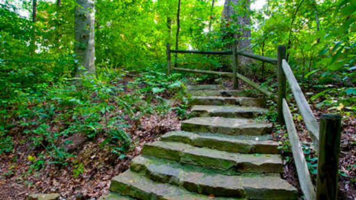 From the floral paths throughout the Bicentennial Gardens and 1.7 miles of the Arboretum to the elevated boardwalk of the birdwatcher-friendly Bog Garden, there are myriad walkways to explore.