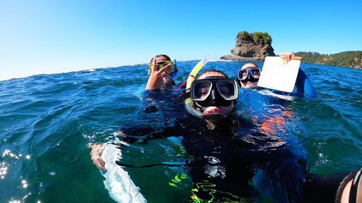 Guilford student Sonya Brunk snorkels with friends in New Zealand.