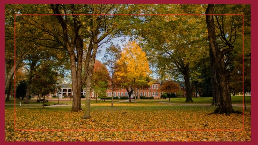 Every year Guilford turns 18 tons of leaves into nutritional compost,  for the College’s farm and landscaping.