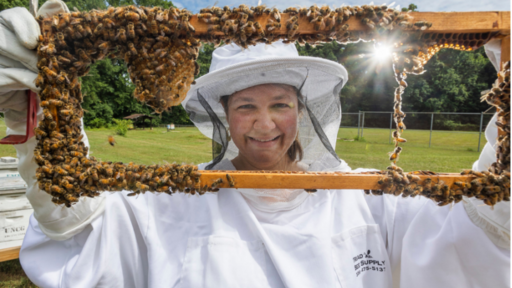 Guilford College beekeeper in a white suit smiles, holding a frame teeming with bees and honeycomb.
