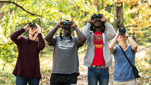 Biology students looking for birds in the Guilford Woods