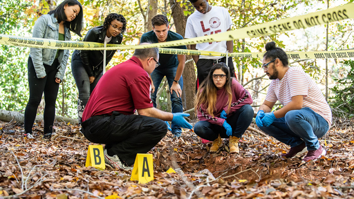 Guilford College students analyze a mock crime scene during an outdoor forensics class.
