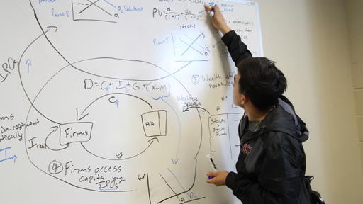 An Economics student solves problems on a whiteboard.