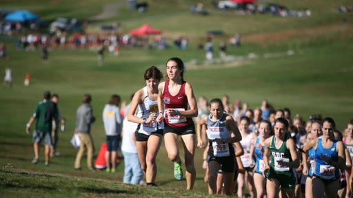 Members of the Cross Country team compete in a race.