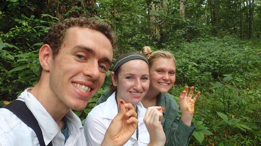 Guilford College student Caleb Amstutz studies abroad in Panama. Here, he's collecting poison dart frog for morphology research with other School for Field Studies students. 