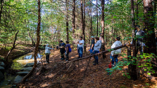 Professor Marlene McCauley leads students on a hike to a stream that runs through campus during a Geology course.