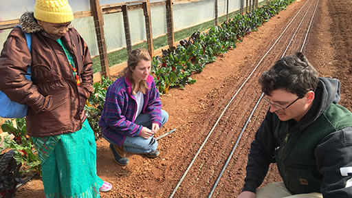 Farmer Nick Mangili explains winter planting at the Farm.